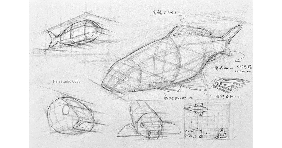 魚類 網站圖片尺寸 1