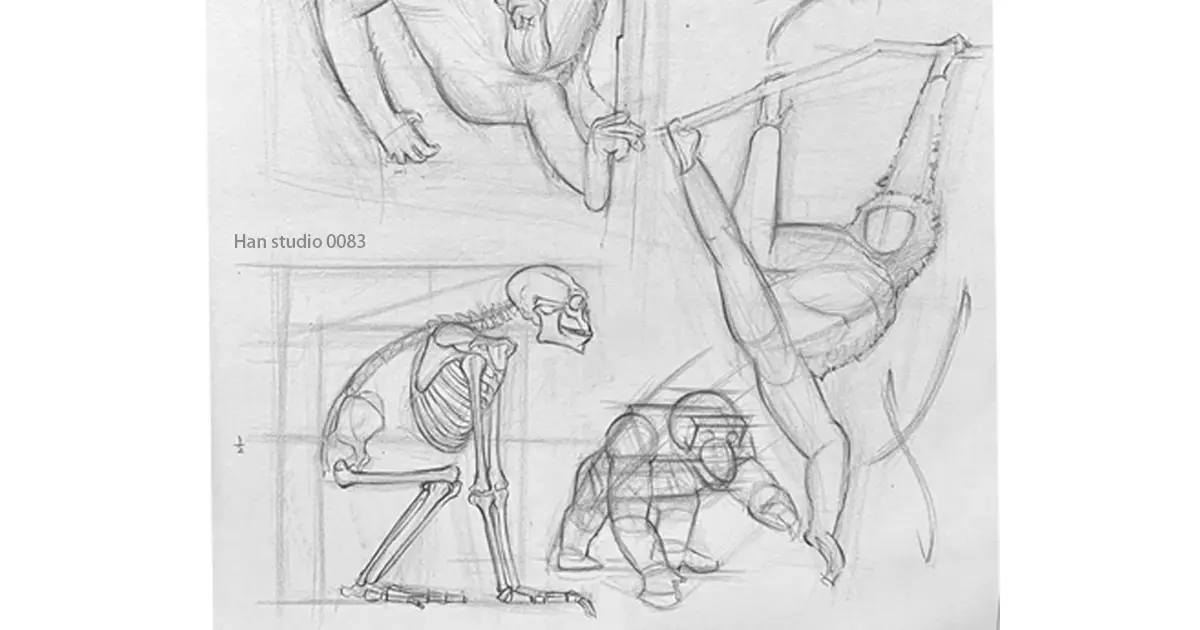 靈長類 網站封面尺寸 1 1