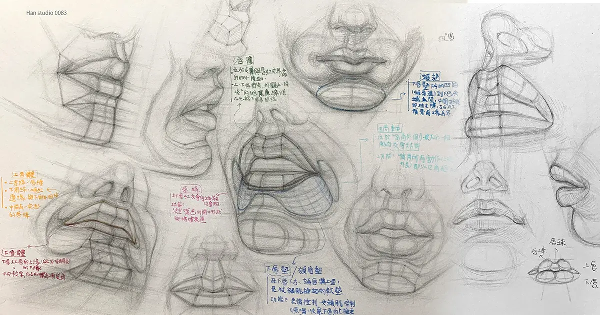嘴巴結構網站 1