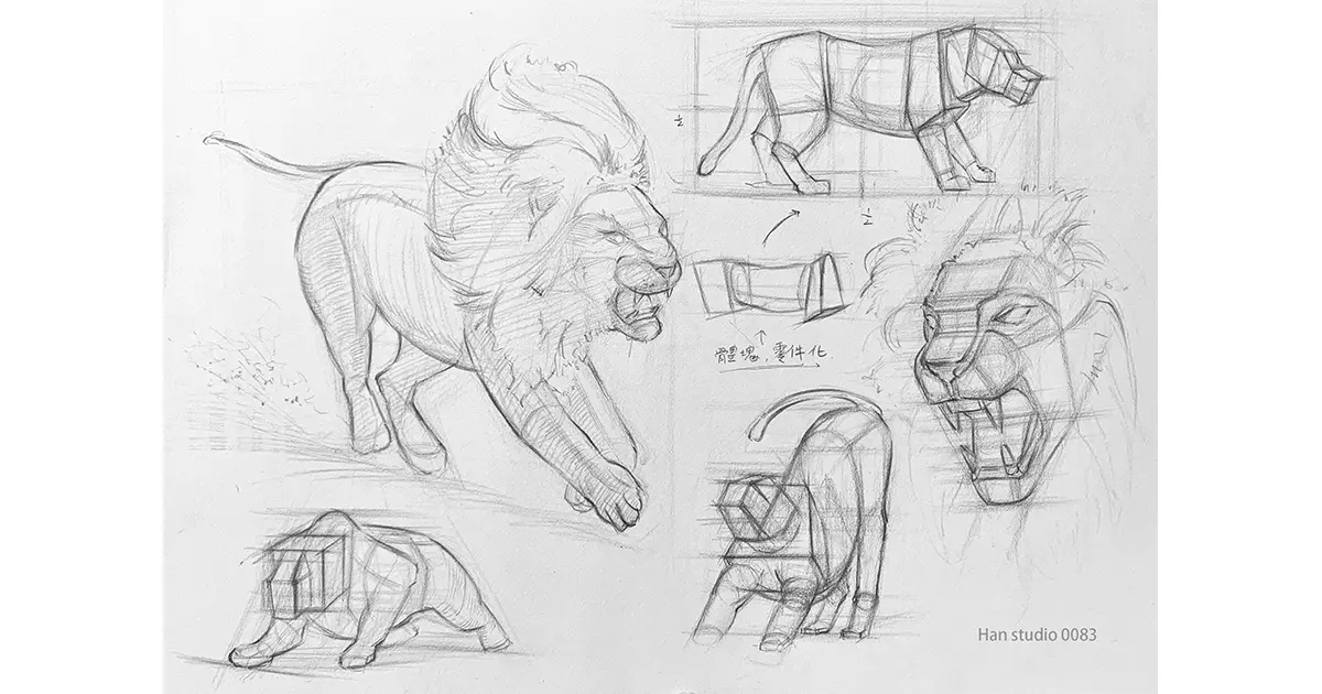 鴿子 網站封面尺寸 1 1