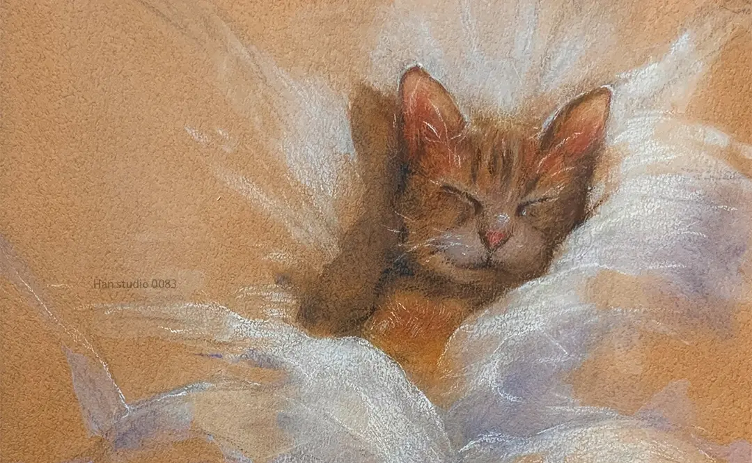 Cat has colored paper 4