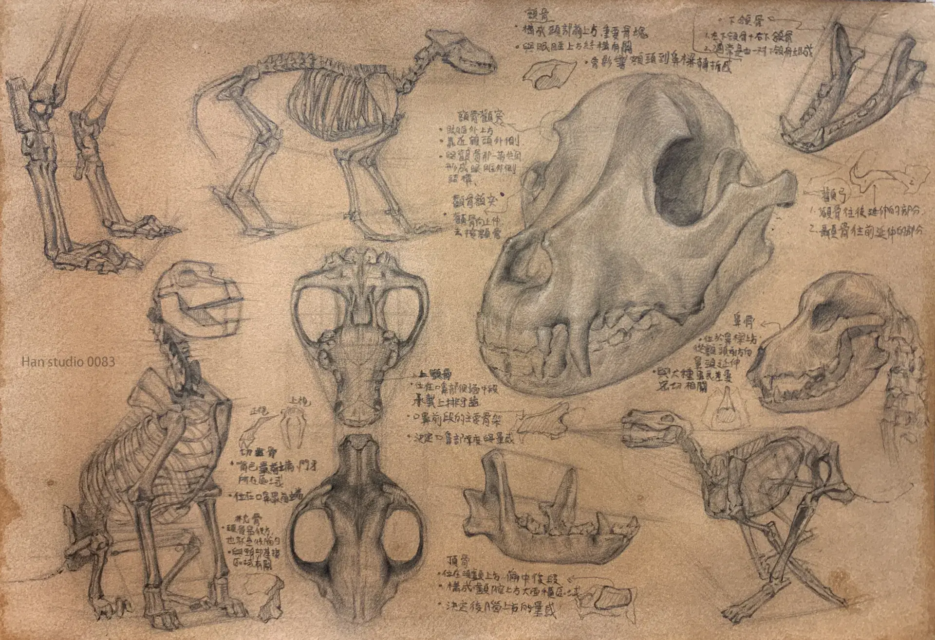 Image 1960 1 1