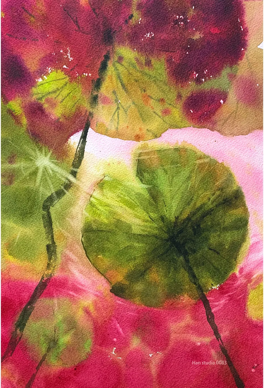 Lotus watercolor 1 1 1